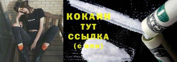 стаф Гусев