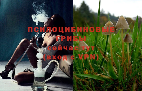 стаф Гусев
