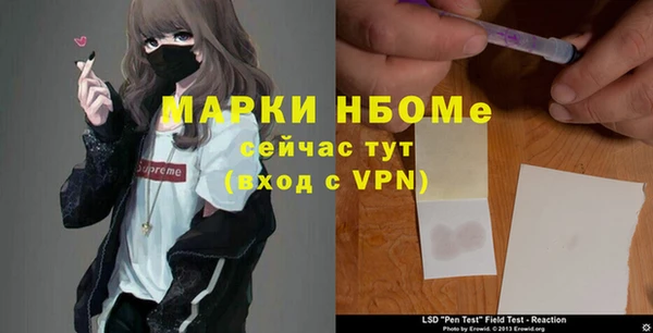 стаф Гусев