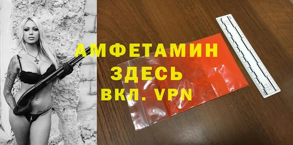 стаф Гусев