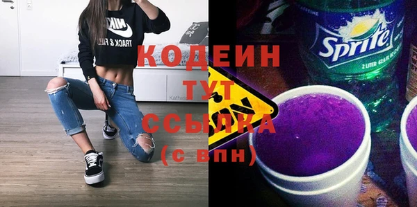 стаф Гусев