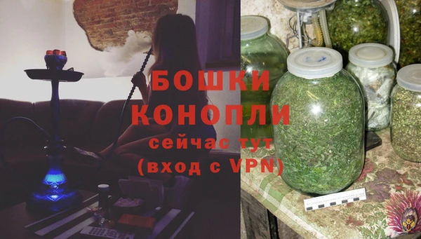 стаф Гусев